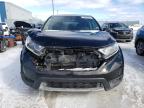 2019 Honda Cr-V Lx for Sale in Elmsdale, NS - Front End