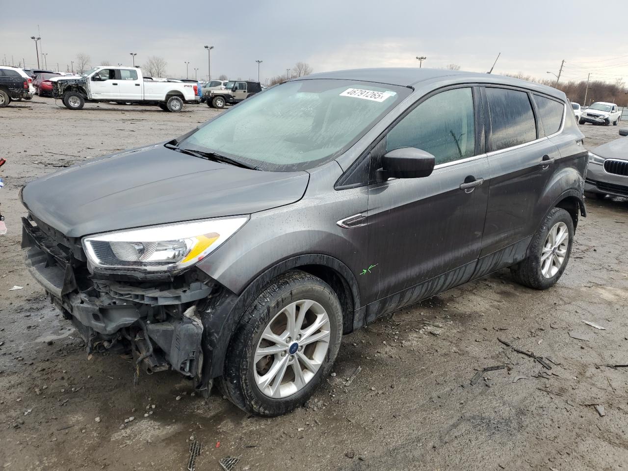 2019 Ford Escape Se zu verkaufen in Indianapolis, IN - Front End