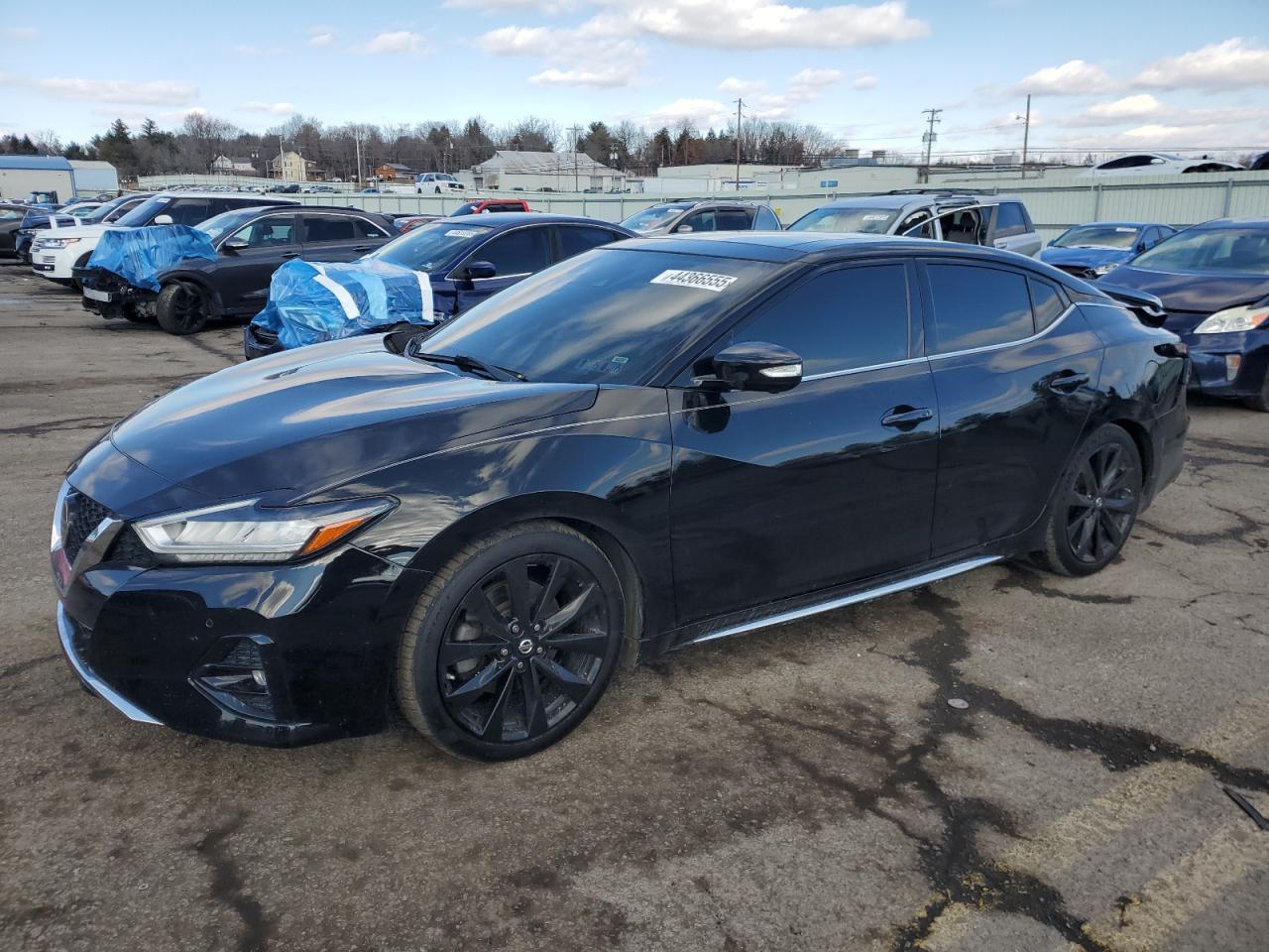 2019 Nissan Maxima - Image 1