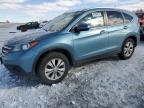 2014 Honda Cr-V Exl de vânzare în Wayland, MI - Front End