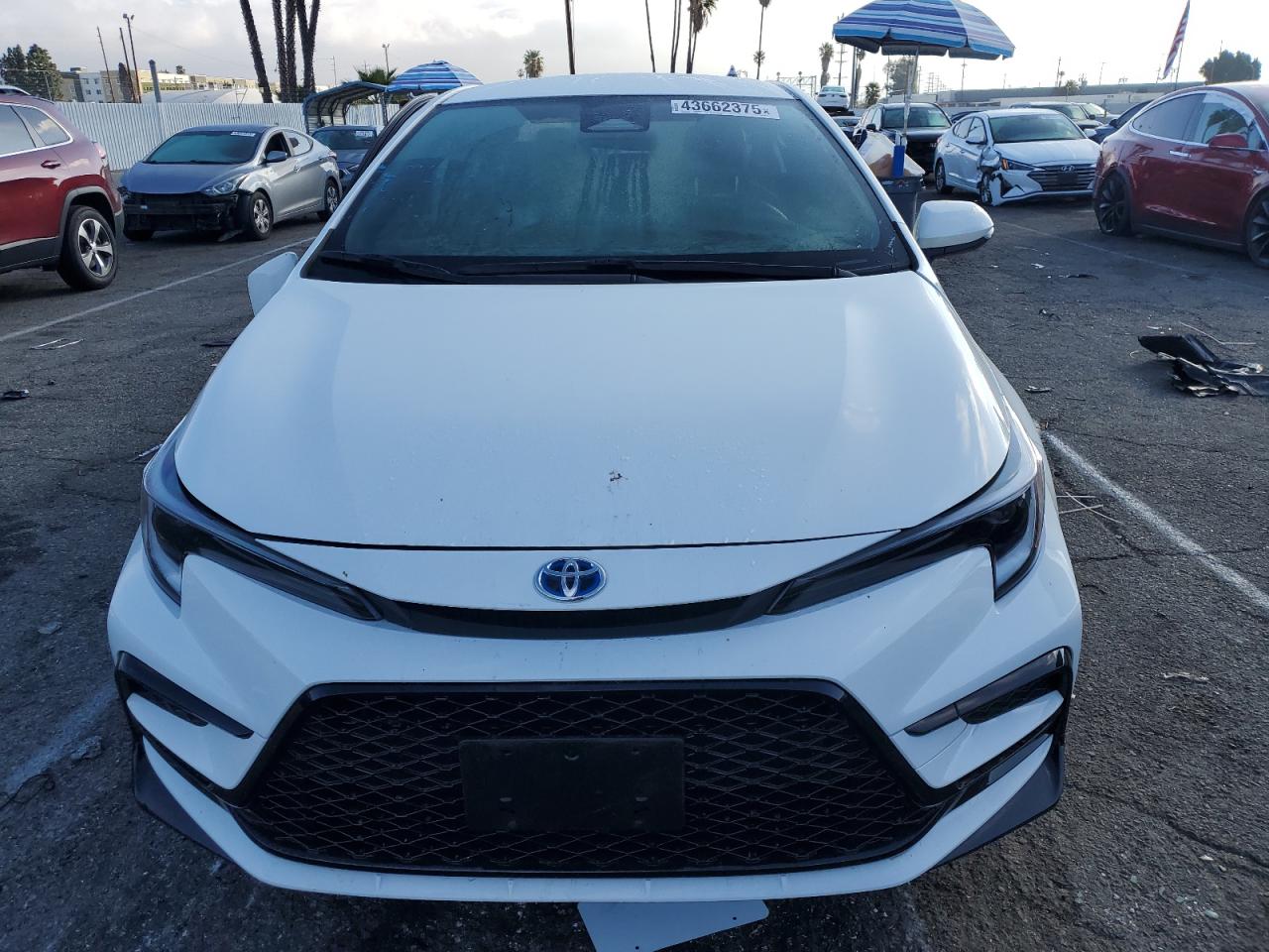 2024 Toyota Corolla - Image 5