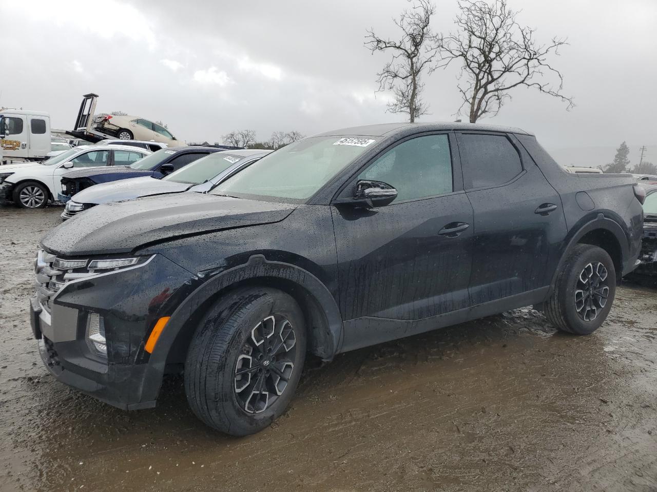 2022 Hyundai Santa Cruz Sel for Sale in San Martin, CA - Front End