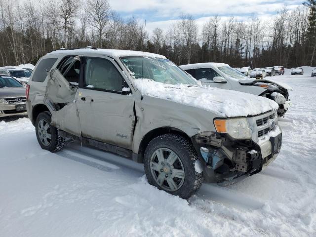 2008 FORD ESCAPE XLT