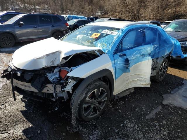 LEXUS UX 250H 2021