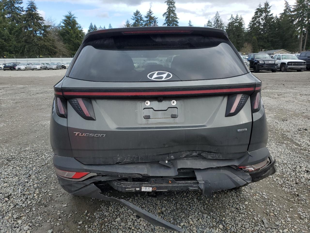 2023 Hyundai Tucson - Image 6