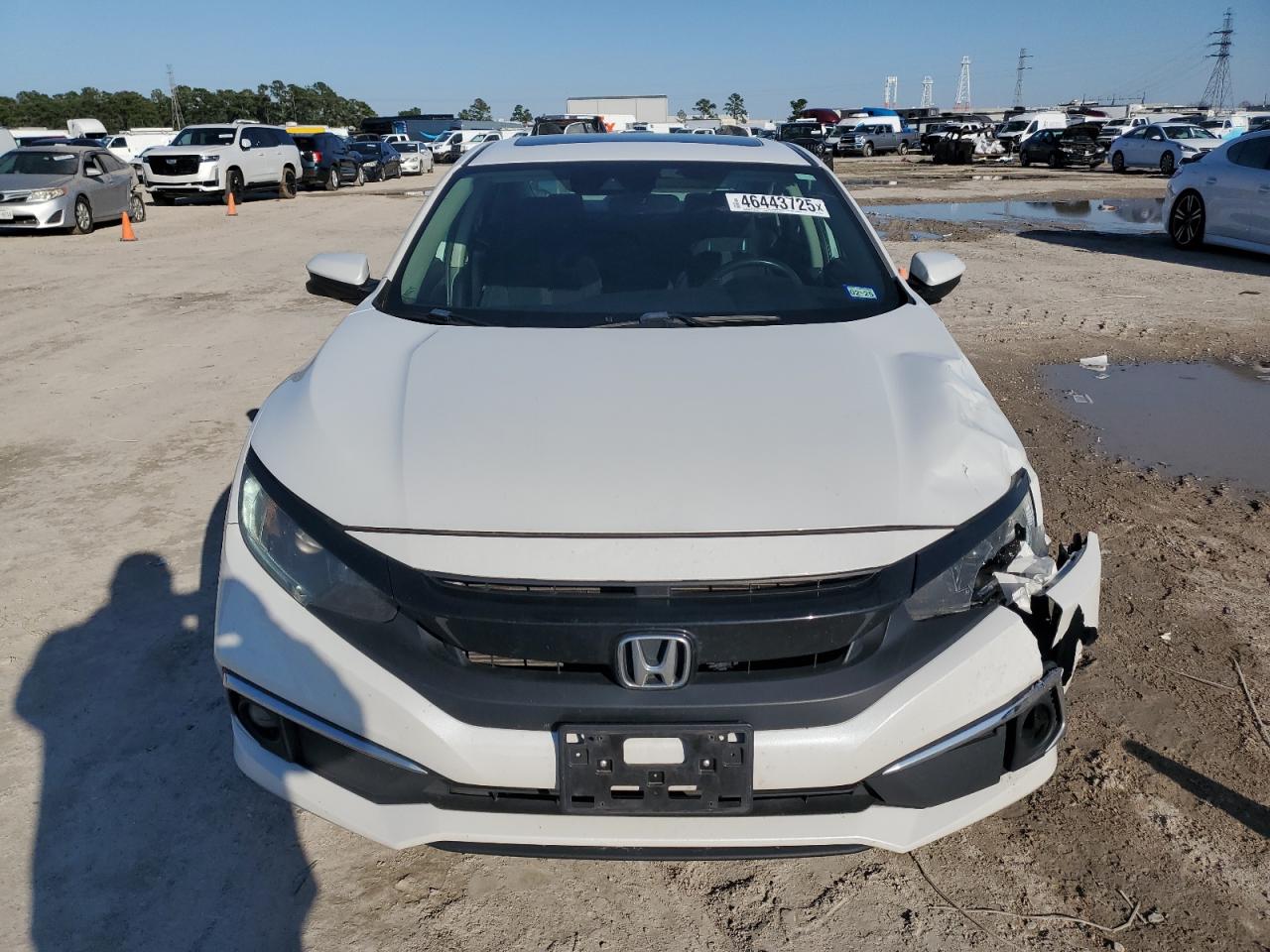 2019 Honda Civic - Image 5