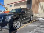 2020 Cadillac Escalade Esv Luxury на продаже в North Billerica, MA - Normal Wear