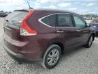 2013 Honda Cr-V Exl იყიდება West Palm Beach-ში, FL - Side