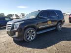 2015 CADILLAC ESCALADE LUXURY for sale at Copart NC - LUMBERTON