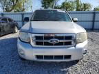 2012 Ford Escape Xlt for Sale in Riverview, FL - Normal Wear