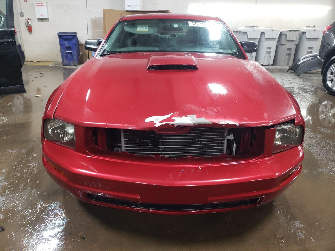 2005 Ford Mustang - Image 5