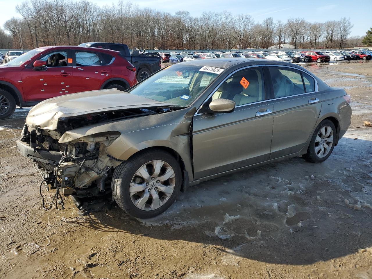 2008 Honda Accord - Image 1