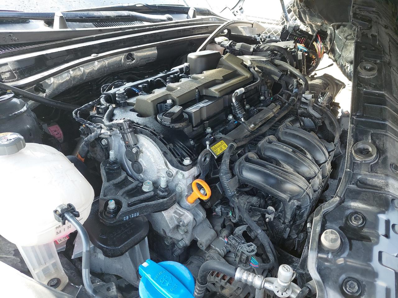 KNAG34178R5262323 - 2024 Kia K5 - #undefined