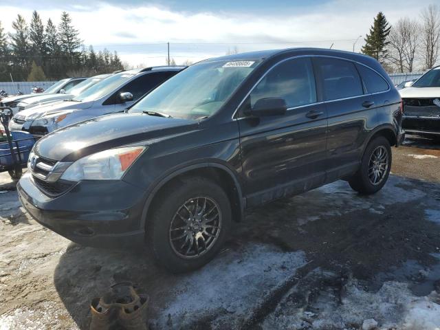 2011 HONDA CR-V LX for sale at Copart ON - TORONTO