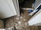 2021 Foresriver Salem for Sale in Lawrenceburg, KY - Water/Flood