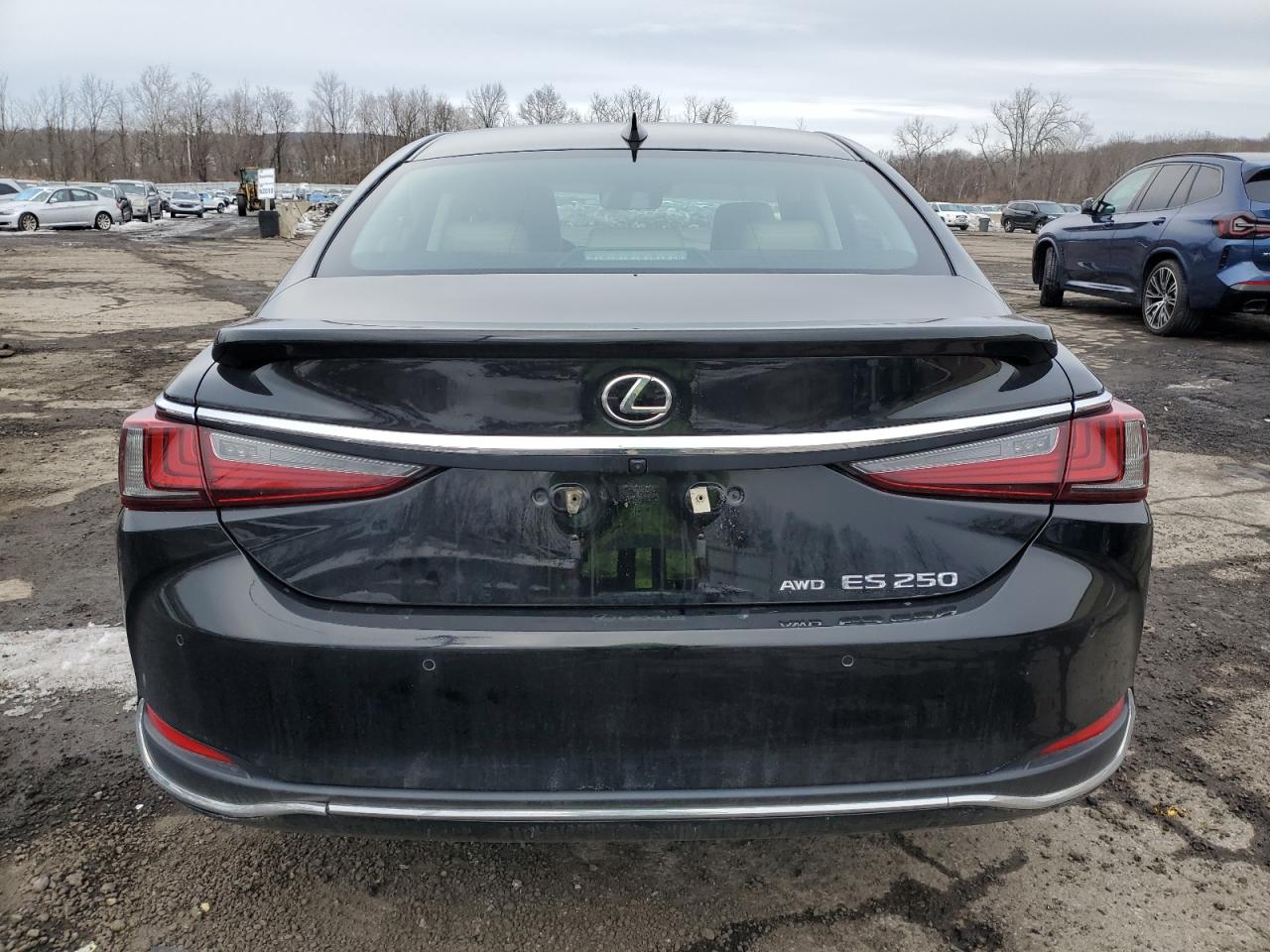 2021 Lexus ES - Image 6