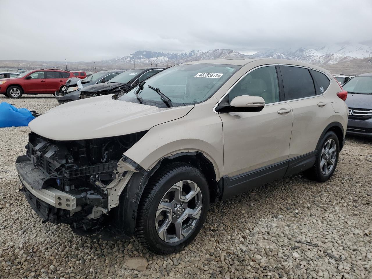 2019 Honda CR-V - Image 1