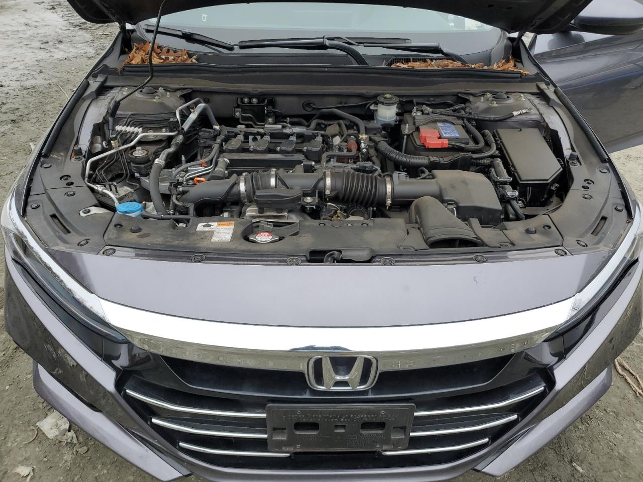 2022 Honda Accord - Image 11