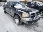 2005 Dodge Dakota Quad Slt للبيع في Montreal-est، QC - Front End