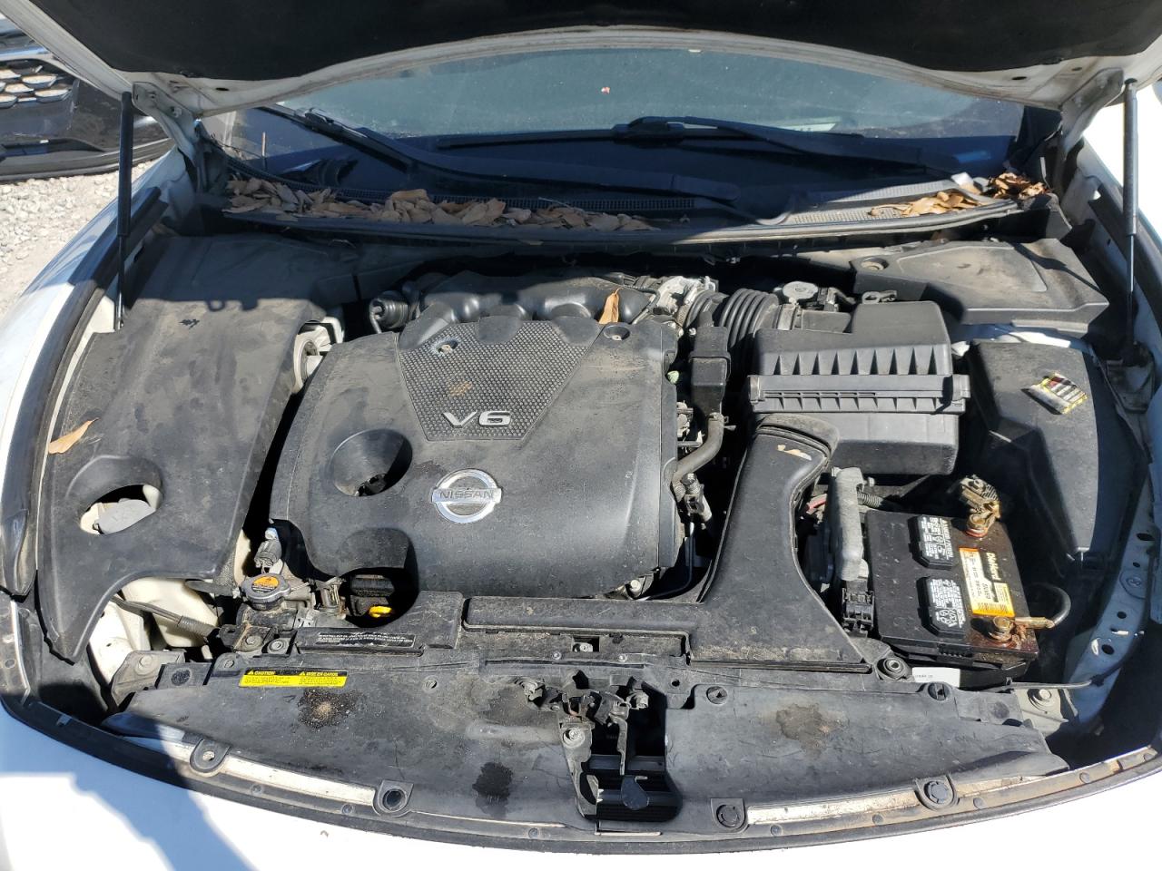 2013 Nissan Maxima S VIN: 1N4AA5AP8DC819746 Lot: 49894355