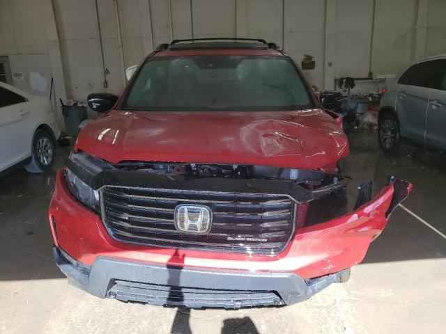  HONDA PASSPORT B 2024 Czerwony