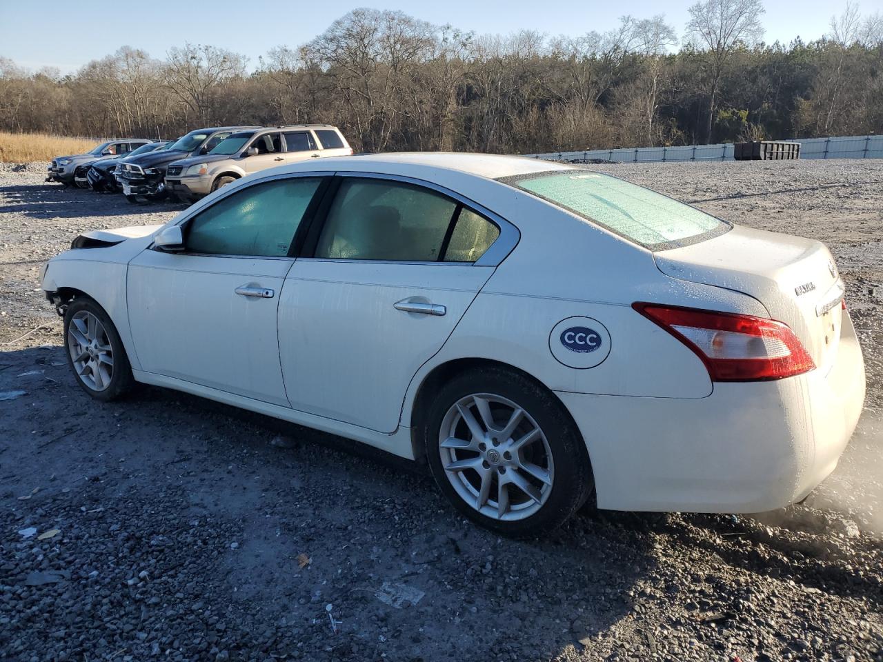2010 Nissan Maxima - Image 2