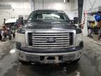 2010 FORD F150 SUPERCREW for sale at Copart ON - OTTAWA