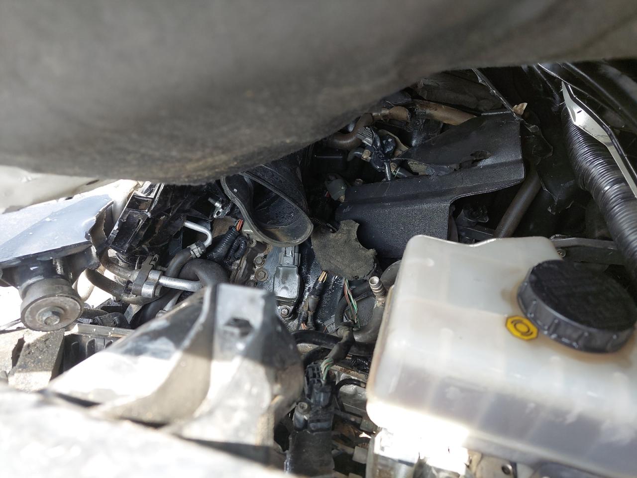 JN8AY2NY7E9070514 - 2014 Nissan Patrol - #46378495