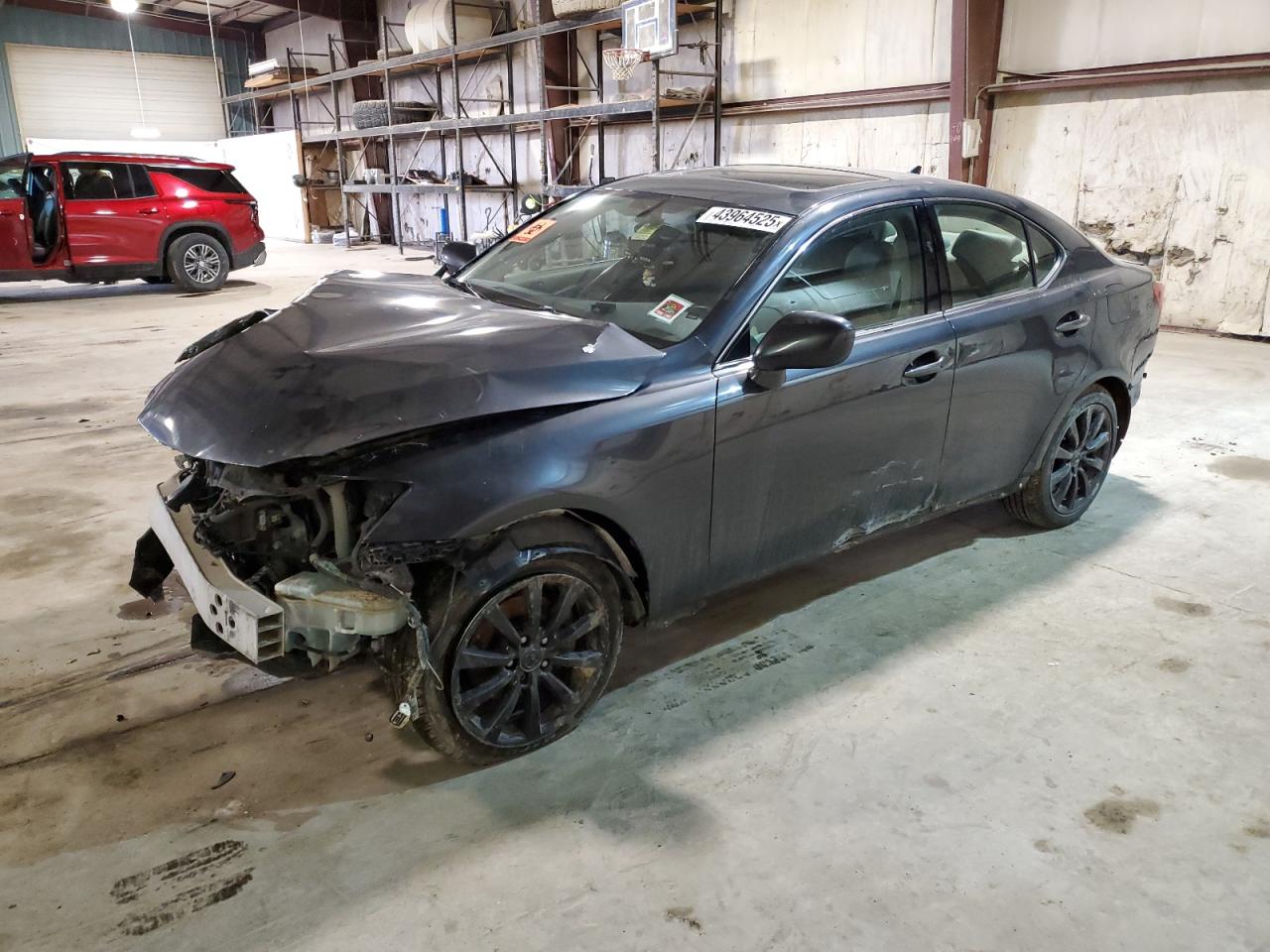 2008 Lexus IS - Image 1