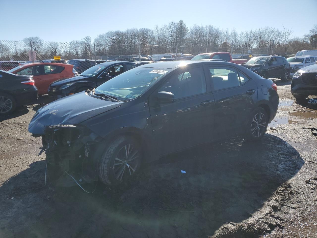 2017 Toyota Corolla - Image 1