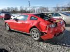 2010 Ford Mustang  продається в Walton, KY - Rear End