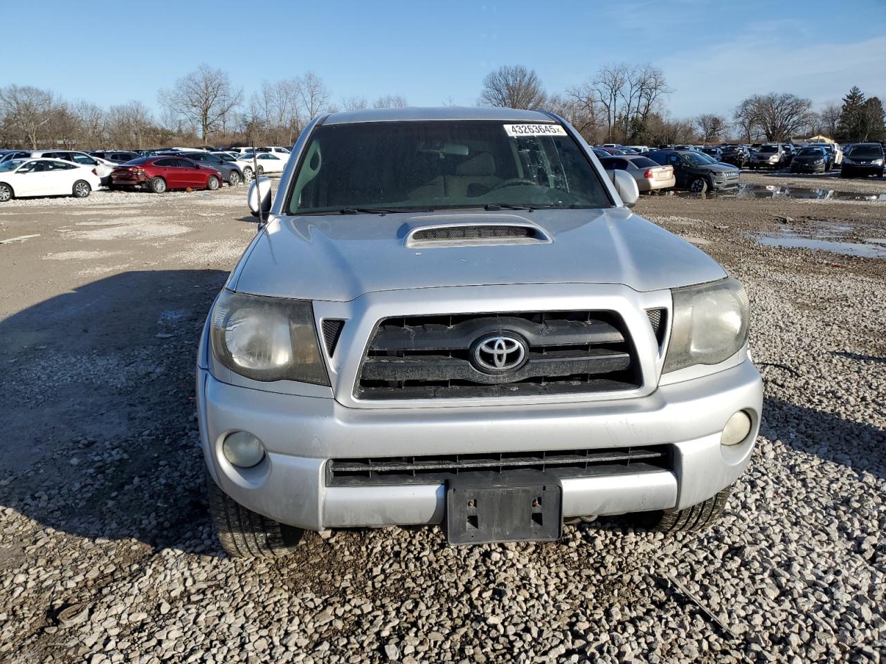2005 Toyota Tacoma - Image 5