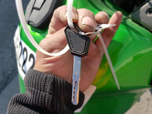  KAWASAKI KL650 G 2023 Зеленый
