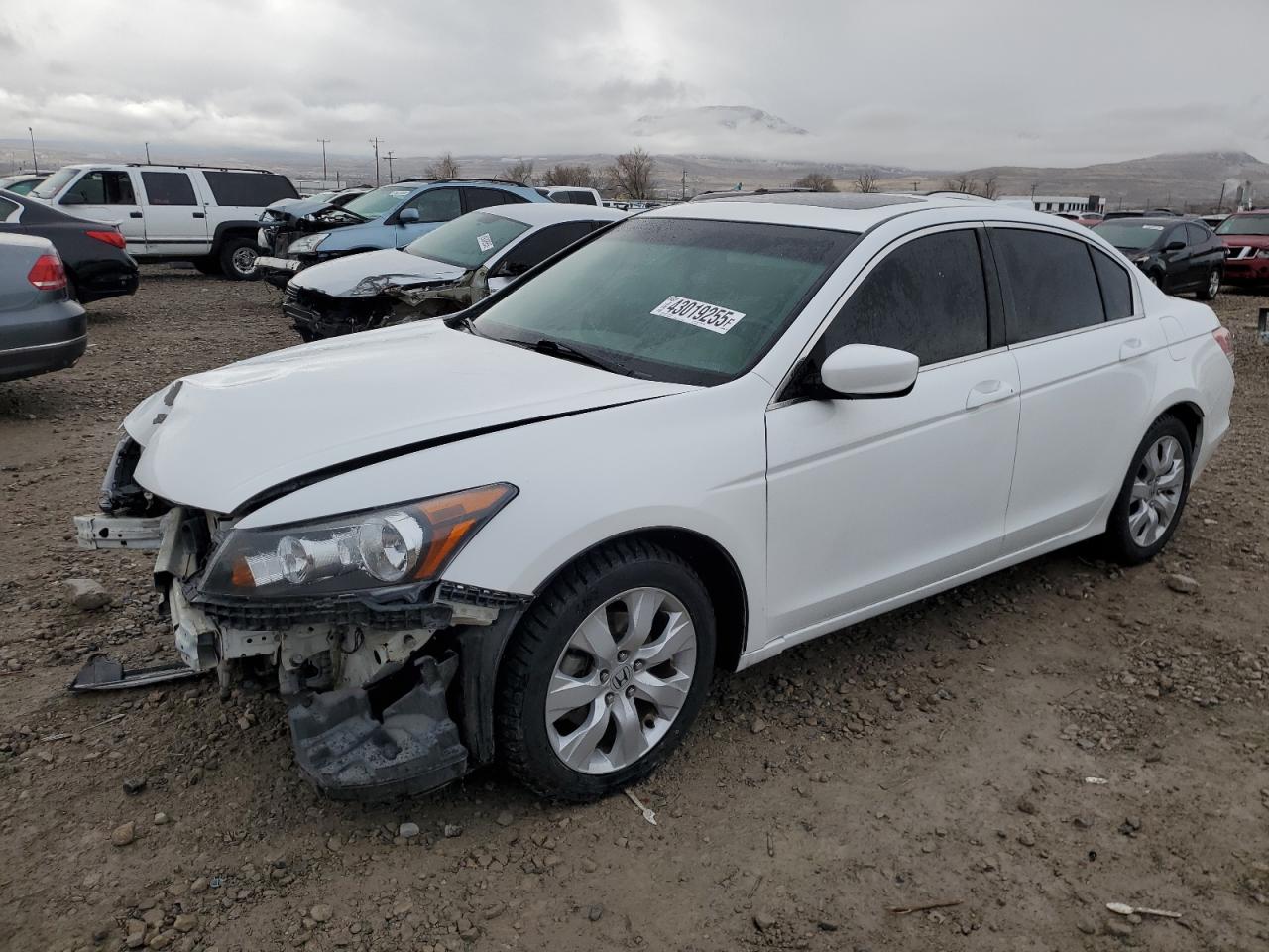 2010 Honda Accord - Image 1