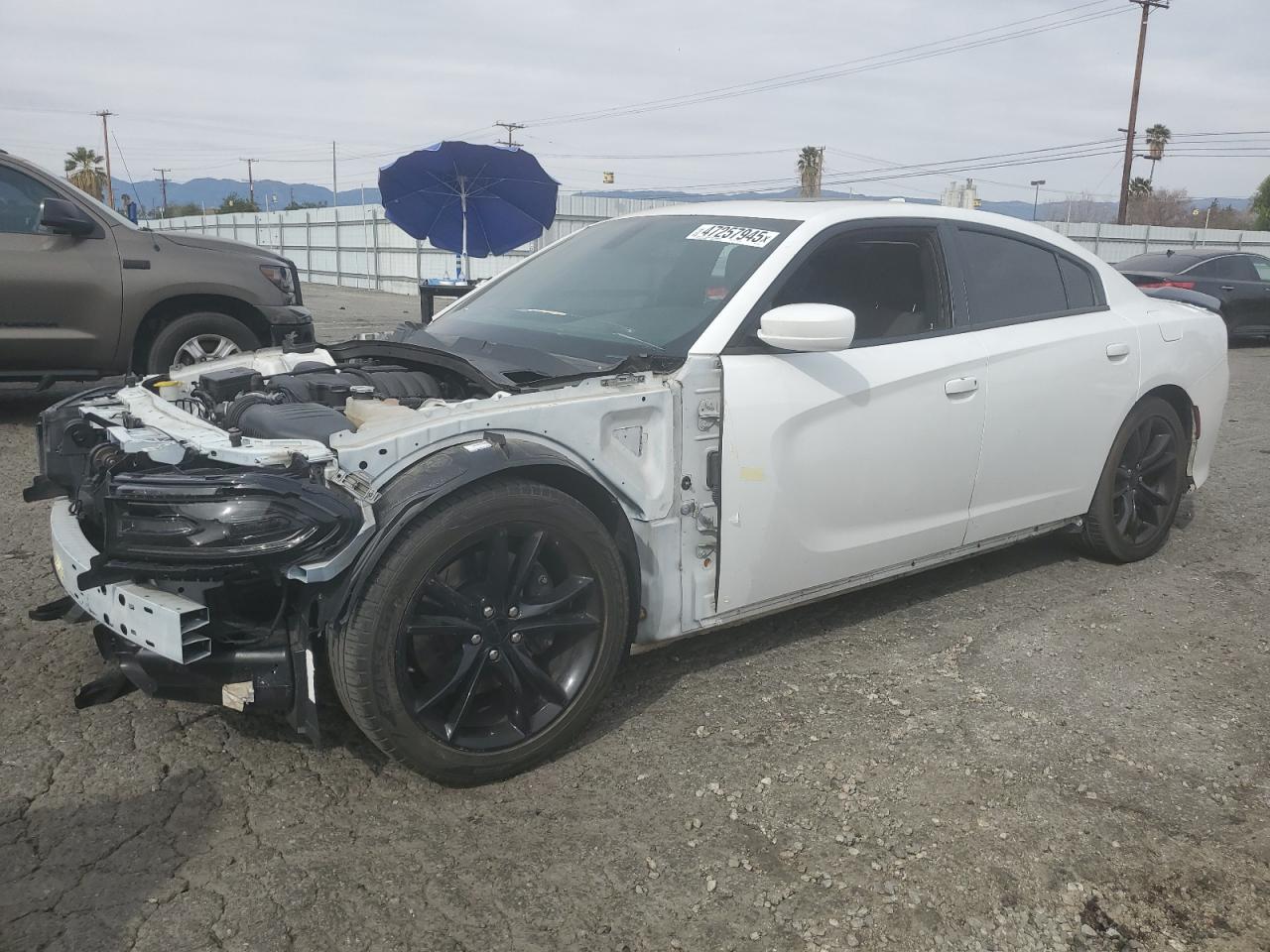 2019 Dodge Charger Scat Pack იყიდება Colton-ში, CA - All Over