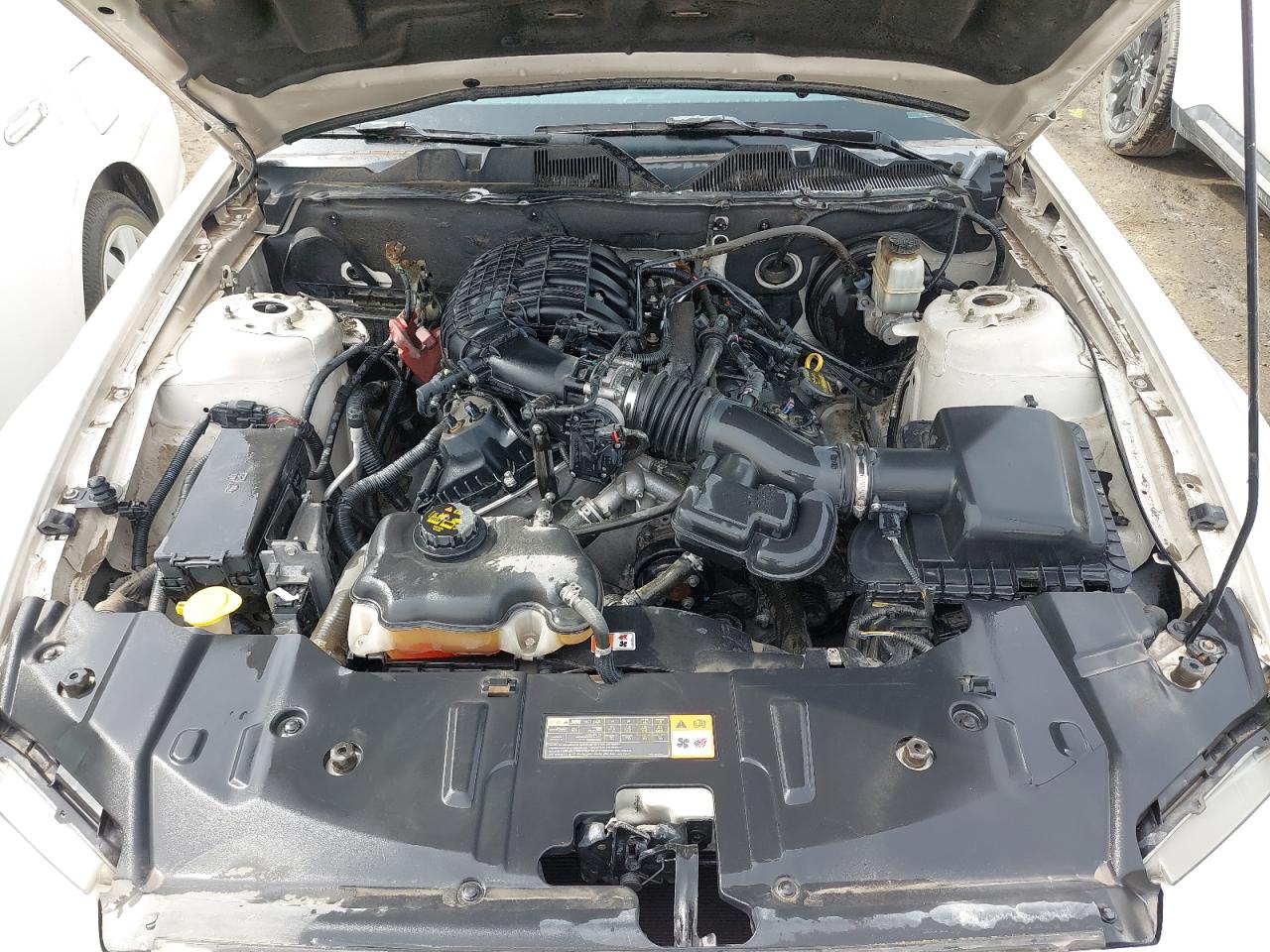 1ZVBP8AM1D5237641 - 2013 FORD MUSTANG - #45436755