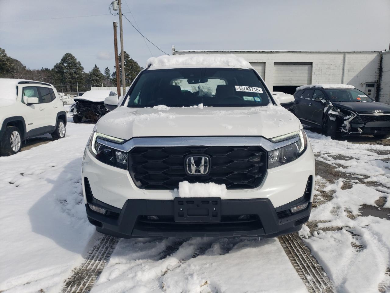 2024 Honda Passport - Image 5