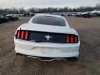 2015 Ford Mustang  for Sale in Hillsborough, NJ - All Over