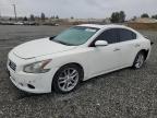 2012 Nissan Maxima S за продажба в Mentone, CA - Rear End