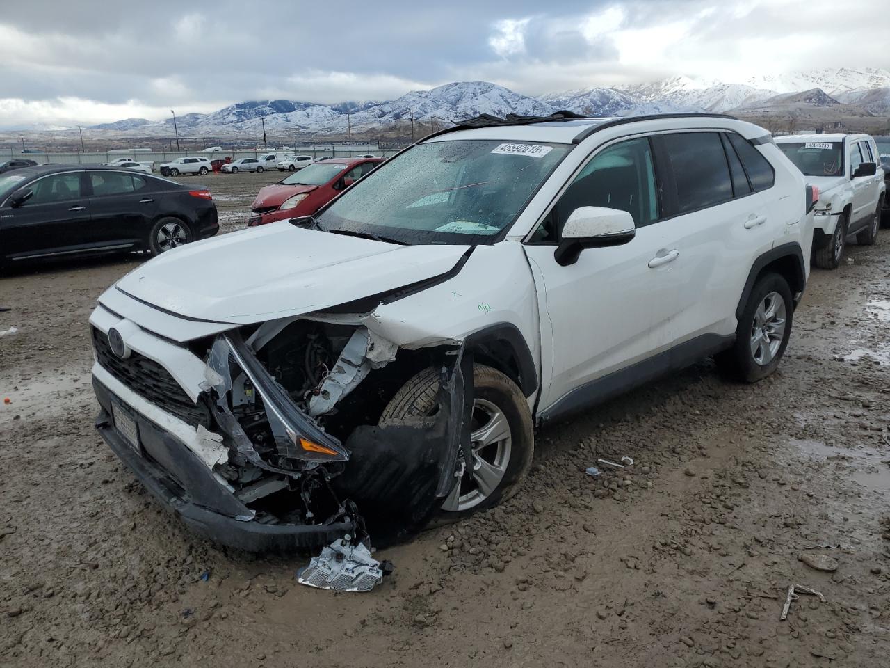 2019 Toyota RAV 4 - Image 1