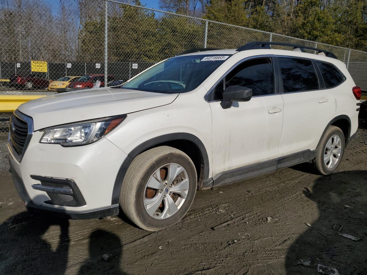 2019 Subaru Ascent - Image 1