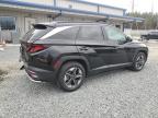 2025 Hyundai Tucson Sel იყიდება Concord-ში, NC - Rear End
