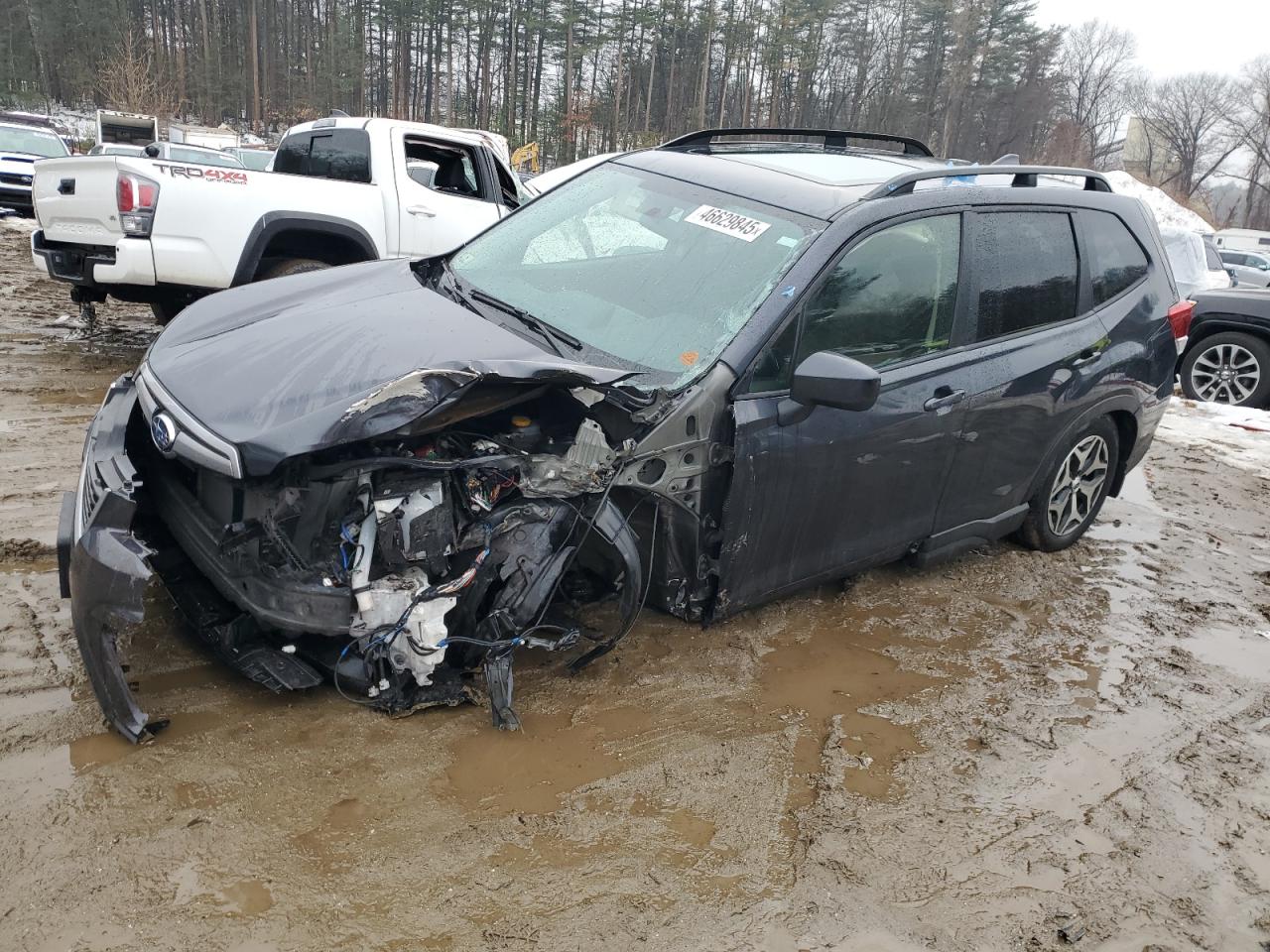 2019 Subaru Forester - Image 1