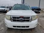 Lawrenceburg, KY에서 판매 중인 2008 Ford Escape Xlt - All Over