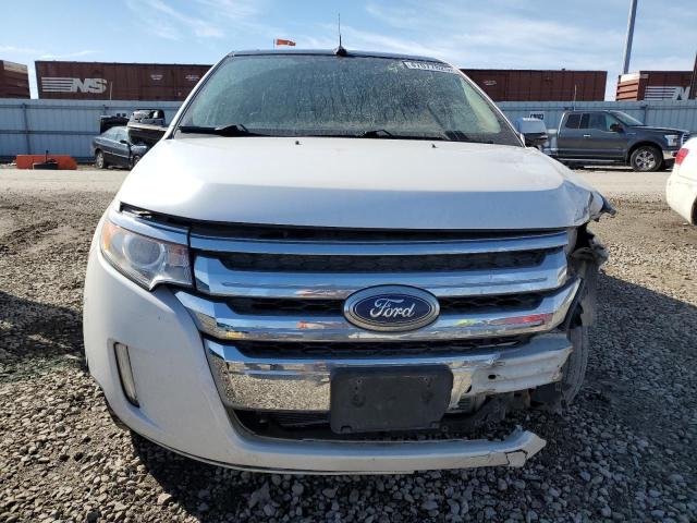  FORD EDGE 2013 Білий
