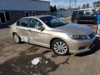 2013 Honda Accord Exl zu verkaufen in New Britain, CT - Side