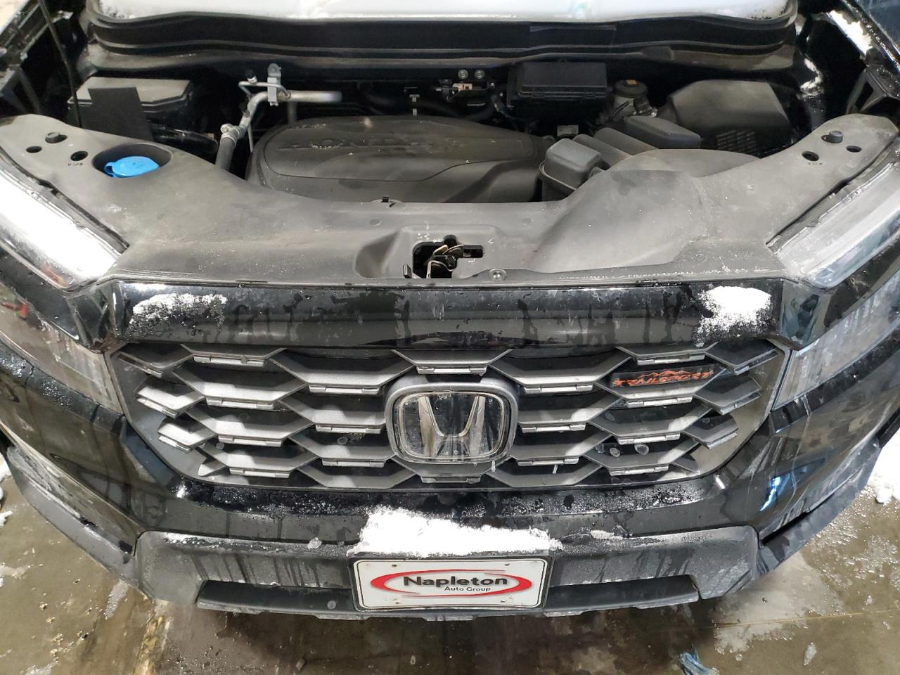 2024 Honda Passport - Image 12