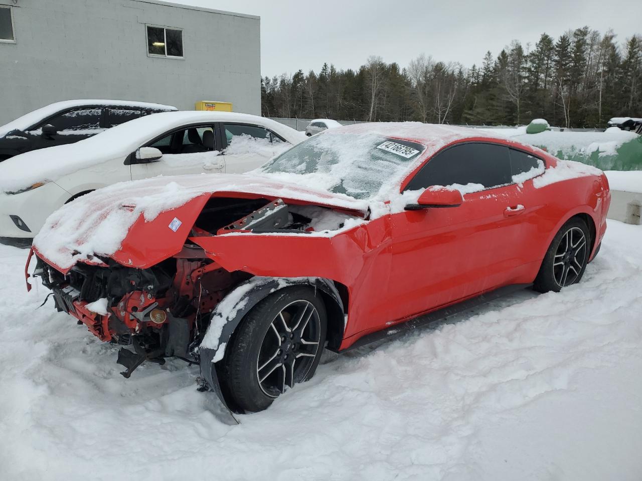 2019 Ford Mustang for Sale in Cookstown, ON - Front End
