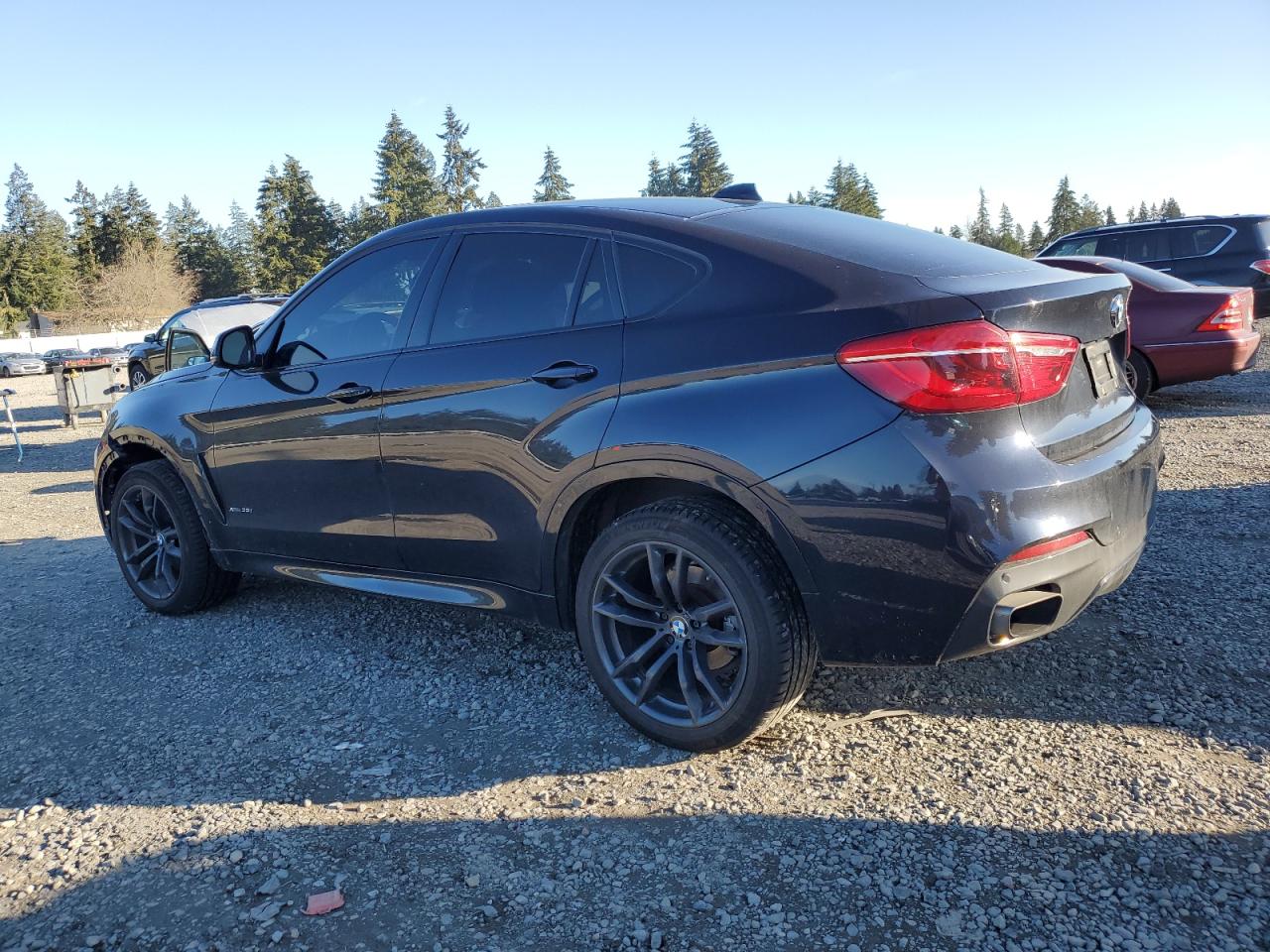 2019 BMW X6 - Image 2