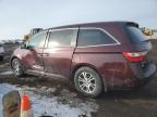 2011 Honda Odyssey Exl en Venta en Brighton, CO - Side